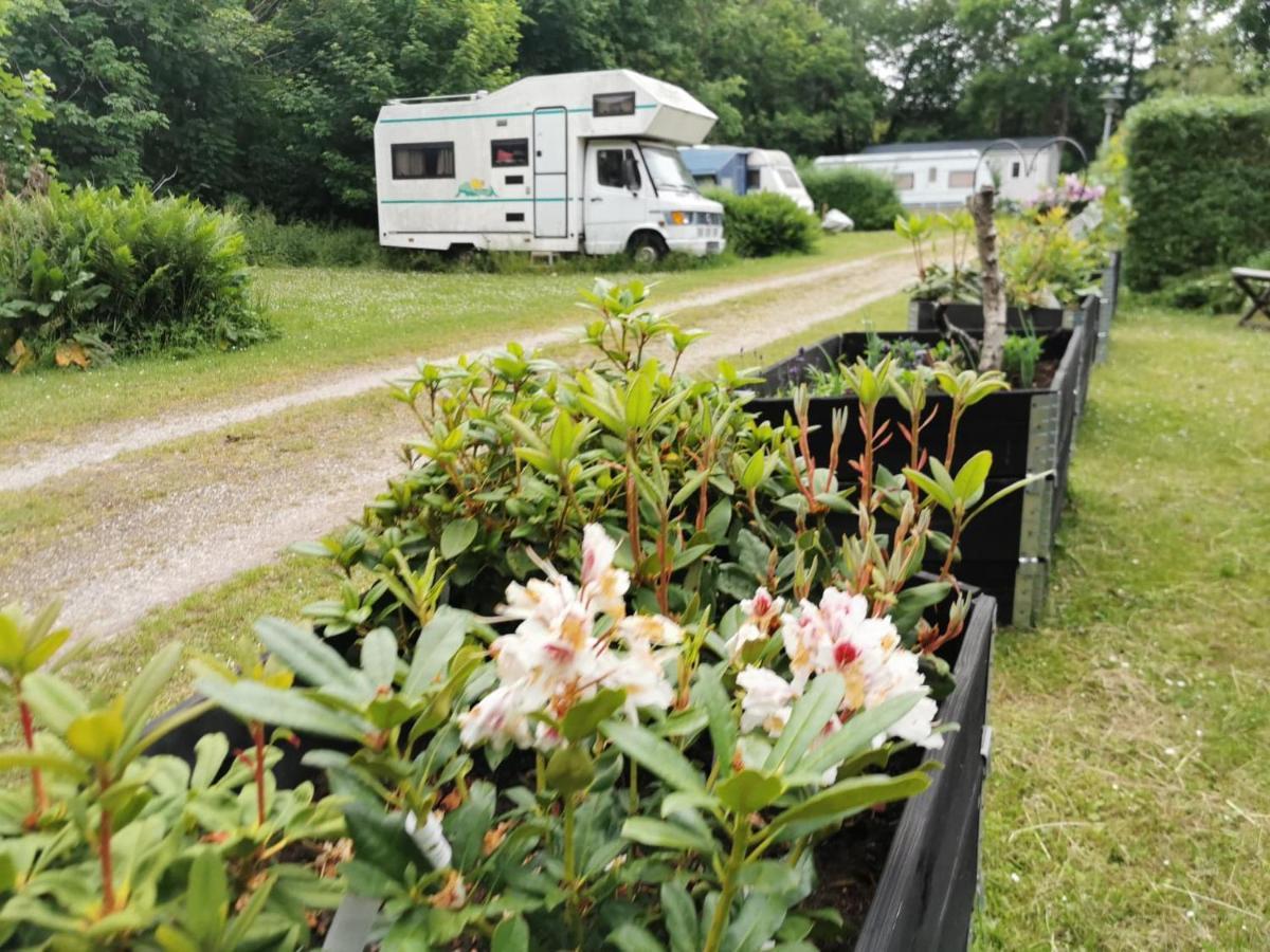 Frederiksvaerk Camping & Hostel Bagian luar foto