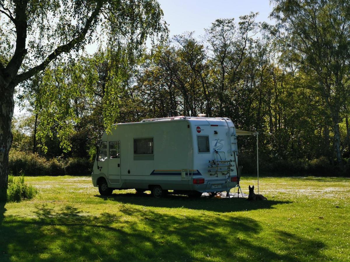 Frederiksvaerk Camping & Hostel Bagian luar foto