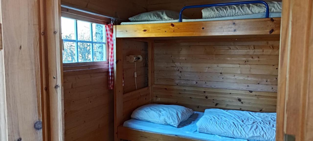 Frederiksvaerk Camping & Hostel Bagian luar foto
