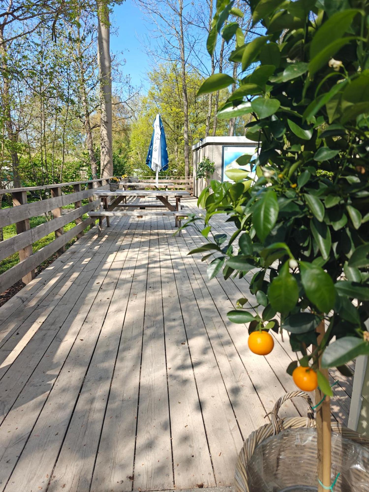 Frederiksvaerk Camping & Hostel Bagian luar foto